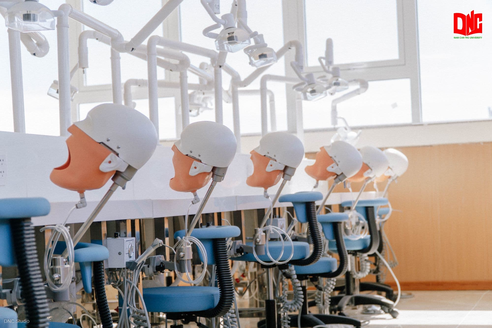 Khoa Răng Hàm Mặt - Chức năng nhiệm vụ